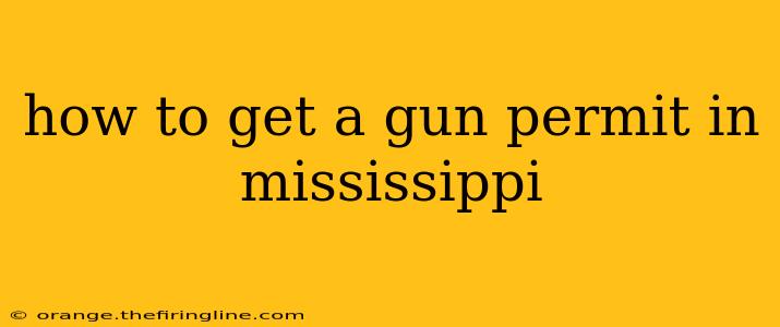 how to get a gun permit in mississippi