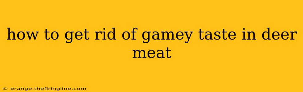 how to get rid of gamey taste in deer meat