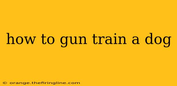 how to gun train a dog