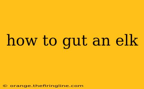 how to gut an elk