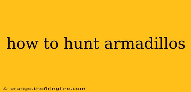 how to hunt armadillos