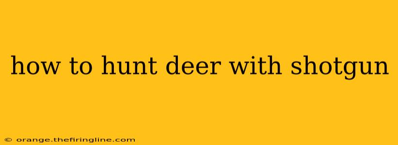 how to hunt deer with shotgun