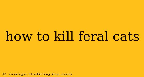 how to kill feral cats