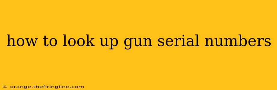 how to look up gun serial numbers