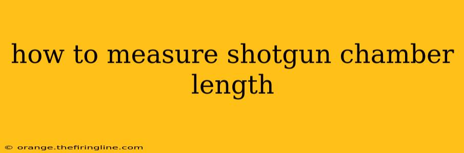 how to measure shotgun chamber length