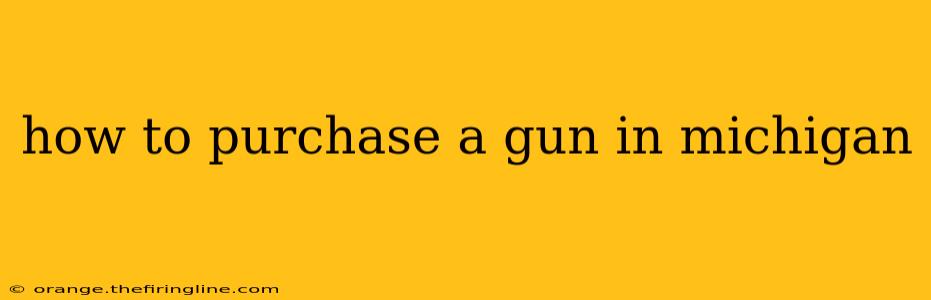 how to purchase a gun in michigan