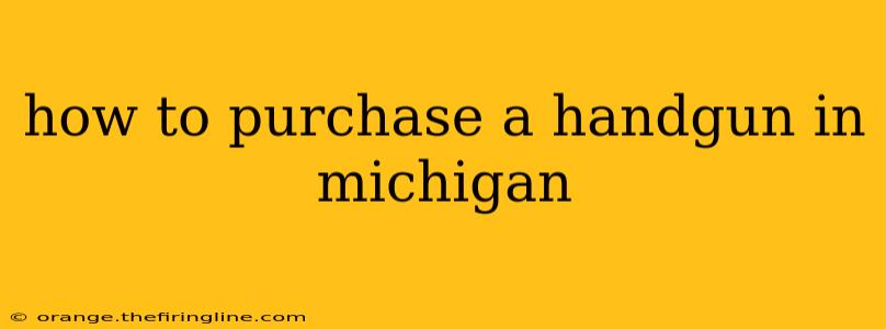 how to purchase a handgun in michigan