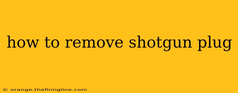 how to remove shotgun plug