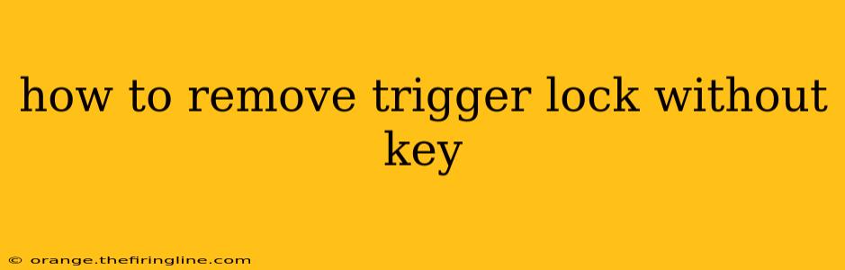 how to remove trigger lock without key