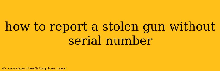 how to report a stolen gun without serial number