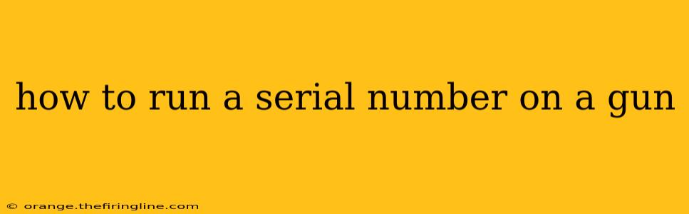 how to run a serial number on a gun