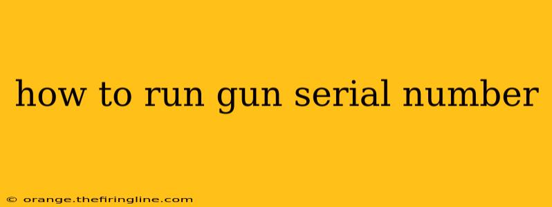 how to run gun serial number