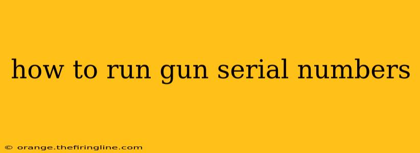 how to run gun serial numbers