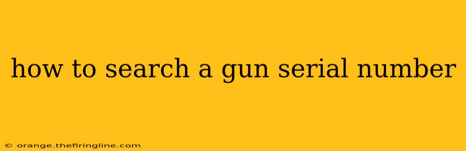 how to search a gun serial number