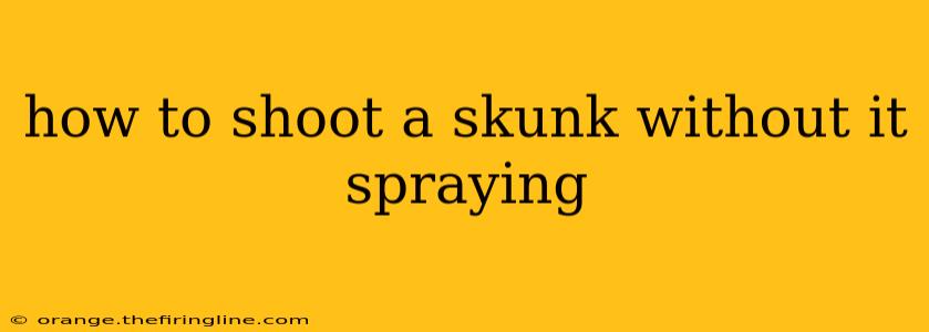 how to shoot a skunk without it spraying