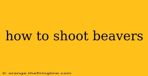 how to shoot beavers