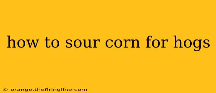 how to sour corn for hogs