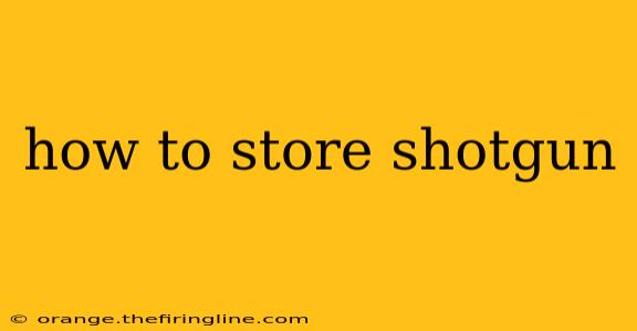 how to store shotgun