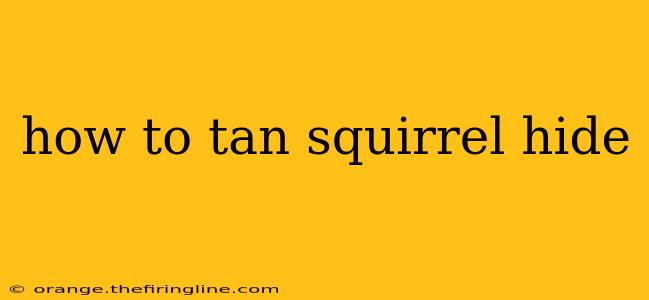 how to tan squirrel hide