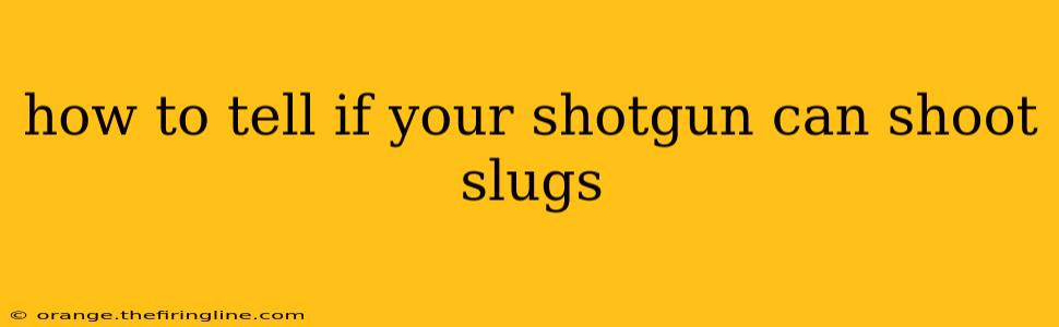 how to tell if your shotgun can shoot slugs