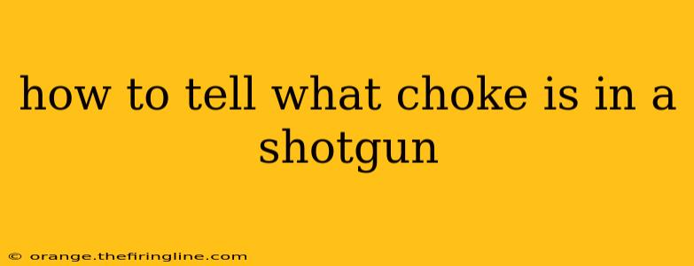 how to tell what choke is in a shotgun