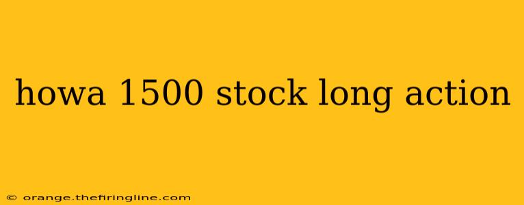 howa 1500 stock long action