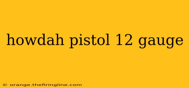 howdah pistol 12 gauge