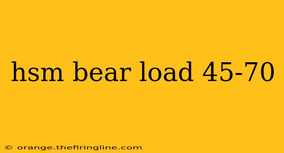 hsm bear load 45-70