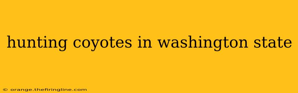 hunting coyotes in washington state
