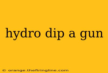 hydro dip a gun