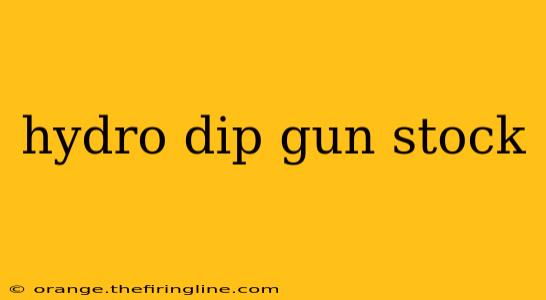 hydro dip gun stock