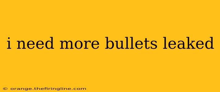 i need more bullets leaked