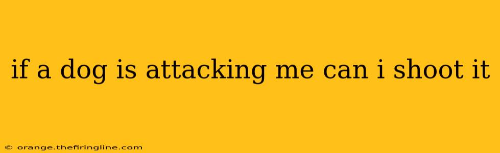 if a dog is attacking me can i shoot it