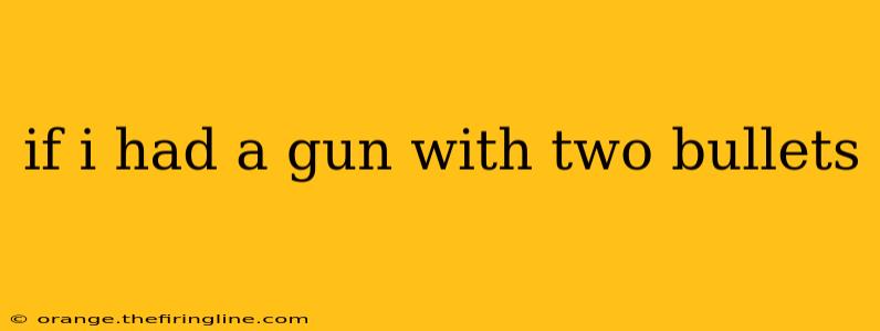 if i had a gun with two bullets