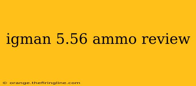 igman 5.56 ammo review