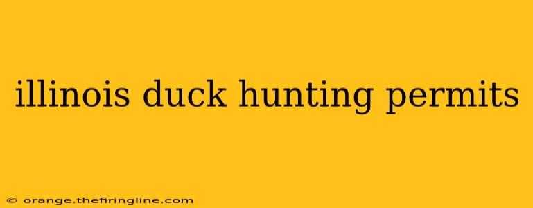 illinois duck hunting permits