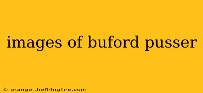 images of buford pusser