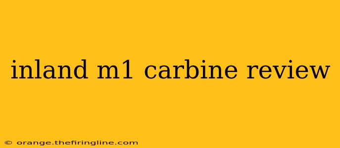 inland m1 carbine review