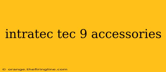 intratec tec 9 accessories