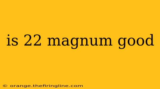 is 22 magnum good