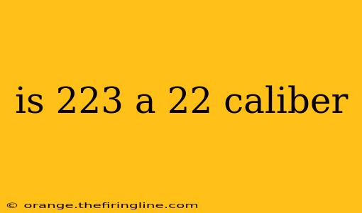 is 223 a 22 caliber