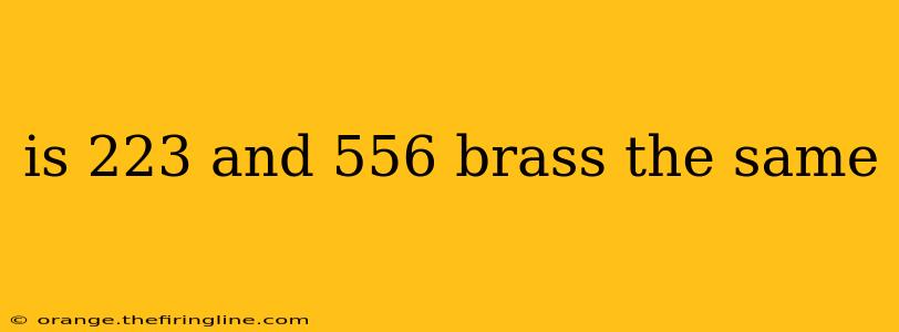 is 223 and 556 brass the same