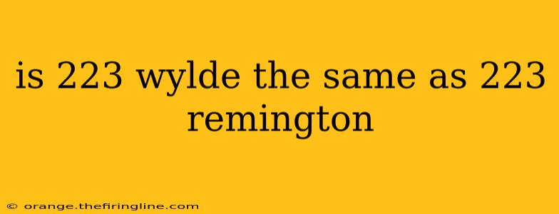 is 223 wylde the same as 223 remington