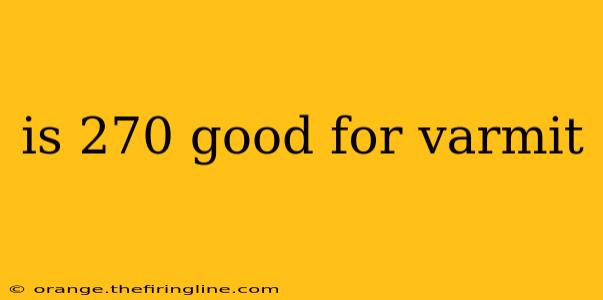 is 270 good for varmit