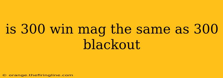 is 300 win mag the same as 300 blackout