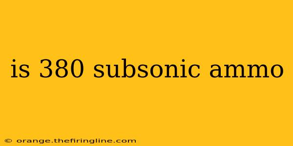 is 380 subsonic ammo