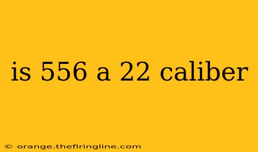 is 556 a 22 caliber