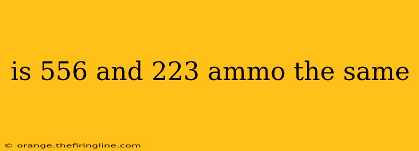 is 556 and 223 ammo the same