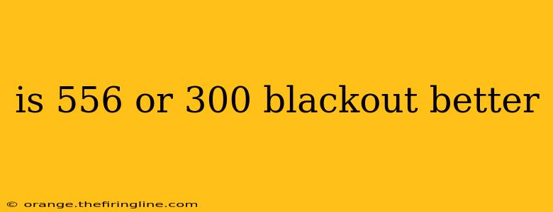 is 556 or 300 blackout better