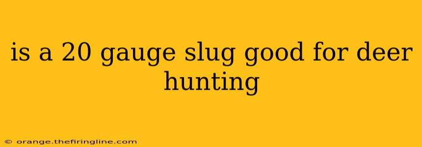 is a 20 gauge slug good for deer hunting